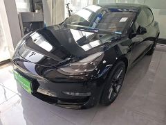 Tesla Model 3 Standard Range RWD Upgrade 3D6 - photo 1