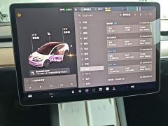Tesla Model 3 Standard Range RWD Upgrade 3D6 - photo 11