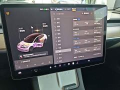 Tesla Model 3 Standard Range RWD Upgrade 3D6 - photo 12