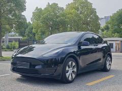 Tesla Model Y Rear-Wheel Drive - ფოტო 1
