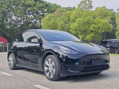 Tesla Model Y Rear-Wheel Drive - ფოტო 3