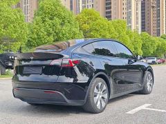 Tesla Model Y Rear-Wheel Drive - ფოტო 4