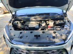 Buick GL8 Luzun Respect Edition - ფოტო 15