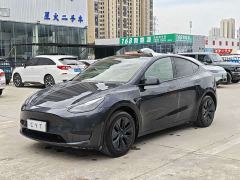 Tesla Model Y Rear-Wheel Drive - фото 1