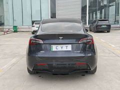 Tesla Model Y Rear-Wheel Drive - фото 7
