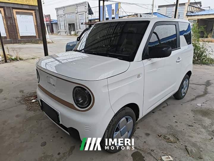 Geely Panda Mini 210km Vitality Edition