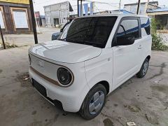 Geely Panda Mini 210km Vitality Edition - photo 1