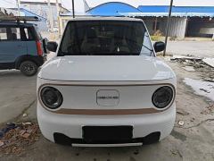 Geely Panda Mini 210km Vitality Edition - photo 2