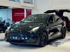 Tesla Model Y Standard Range RWD - фото 1