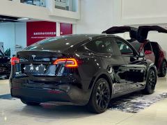 Tesla Model Y Standard Range RWD - фото 12