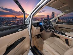 Buick GL8 Land Executive Cabin Comfort DG Edition - фото 2