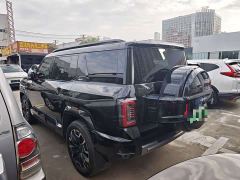 Fangchengbao Leopard 8 Zhiyong Flagship 6-Seater - photo 6
