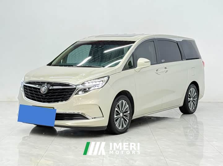 Buick GL8 ES Land Respect 653T Luxury - автомобиль из Китая