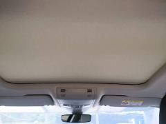 Volkswagen Magotan 2 Million Units Celebration Edition 330TSI DSG Luxury - фото 17