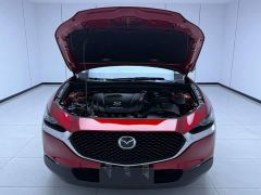 Mazda CX-30 2.0L Automatic Radiant Pleasure Black Obsidian Edition - фото 7