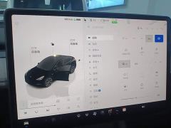 Tesla Model Y Rear-Wheel Drive - ფოტო 12