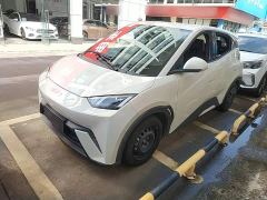 BYD Seagull Glory Edition 305km Vitality Version - ფოტო 1