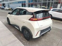BYD Seagull Glory Edition 305km Vitality Version - ფოტო 4
