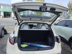 Geely Star Wish 310km Dream Edition - photo 18