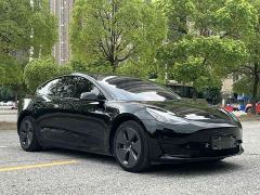 Tesla Model 3 Standard Range RWD Upgrade - ფოტო 3
