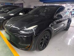 Tesla Model Y Long Range All-Wheel Drive - ფოტო 1