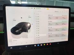Tesla Model Y Long Range All-Wheel Drive - ფოტო 11