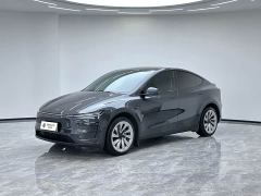 Tesla Model Y Long Range All-Wheel Drive Launch Edition - фото 1