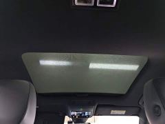 Volkswagen Lingdu L GTS 380TSI Lingfeng Million Anniversary Edition - photo 17