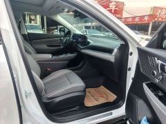 Buick E5 Premium Standard Range Edition - ფოტო 8