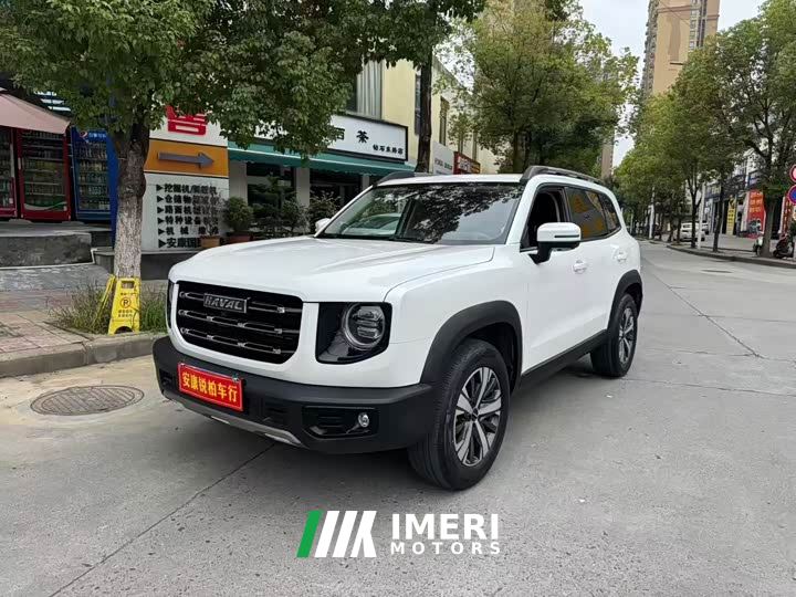 Great Wall Dachshund 1.5T DCT Two-Wheel Drive Labrador Edition