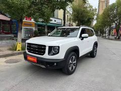 Great Wall Dachshund 1.5T DCT Two-Wheel Drive Labrador Edition - ფოტო 1