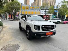 Great Wall Dachshund 1.5T DCT Two-Wheel Drive Labrador Edition - ფოტო 3