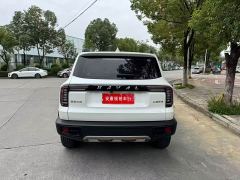 Great Wall Dachshund 1.5T DCT Two-Wheel Drive Labrador Edition - ფოტო 8