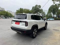 Great Wall Dachshund 1.5T DCT Two-Wheel Drive Labrador Edition - ფოტო 9