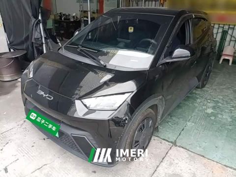 2024 BYD Seagull Vitality Edition - автомобиль из Китая