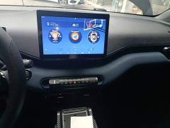 BYD Seagull Vitality Edition - фото 12