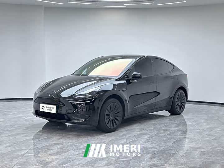 Tesla Model Y Rear-Wheel Drive - автомобиль из Китая