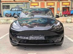 Tesla Model Y Rear-Wheel Drive - ფოტო 2