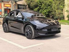 Tesla Model Y Rear-Wheel Drive - ფოტო 3