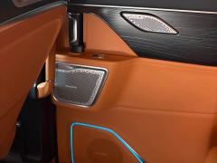 Great Wall WEY Shanshan New Energy Four-Wheel Drive Executive Extended Version - ფოტო 11