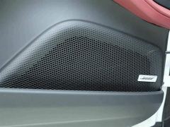 Porsche Panamera Executive Extended Wheelbase 2.9T - ფოტო 17