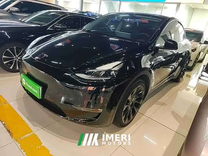 Tesla Model Y Standard Range RWD - автомобиль из Китая
