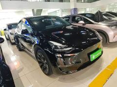 Tesla Model Y Standard Range RWD - фото 3