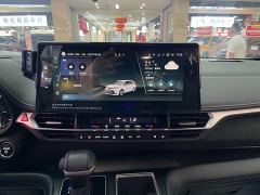 Toyota Sienna 2.5L Hybrid AWD Premium - ფოტო 14