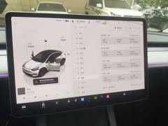 Tesla Model Y Rear-Wheel Drive - photo 8