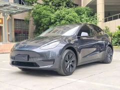 Tesla Model Y Long Range All-Wheel Drive - ფოტო 1