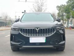 Voyah Lantu FREE Four-Wheel Drive Standard Pure Electric Exclusive Luxury Package - photo 2