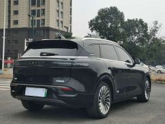 Voyah Lantu FREE Four-Wheel Drive Standard Pure Electric Exclusive Luxury Package - photo 9
