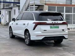 Great Wall WEY Blue Mountain Four-Wheel Drive Max - фото 14