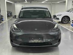 Tesla Model Y Rear-Wheel Drive - ფოტო 2